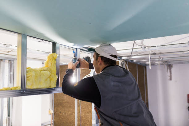 Best Cellulose Insulation in Lebanon, PA